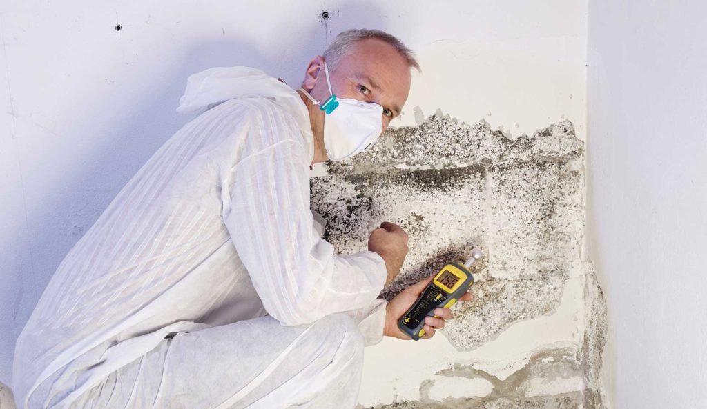 Mold Remediation Services