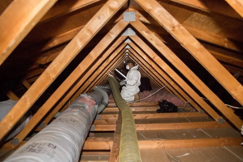 Attic Insulation Removal